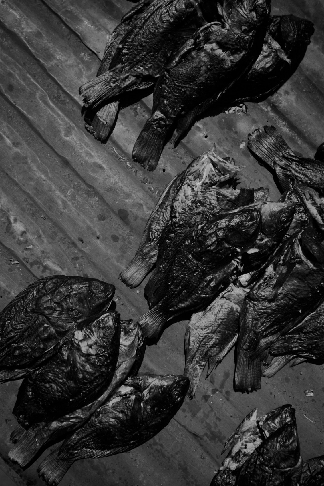 Fish on a market surface
